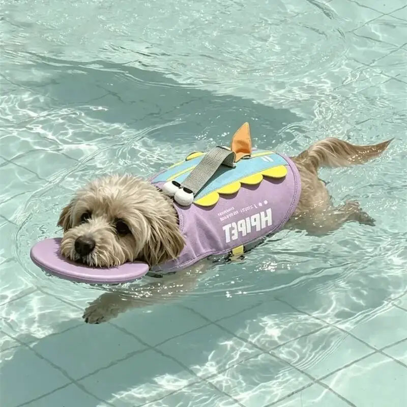 Köpek Can Yeleği Sevimli Köpek - Life Jacket Buoyancy incelemesi ve fiyatı